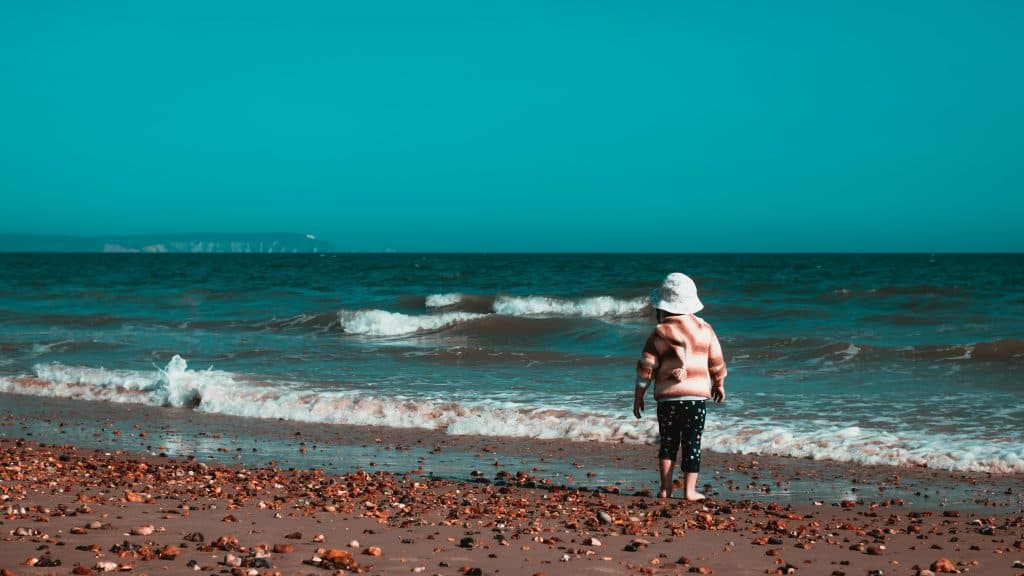 tadas-petrokas-qyhgMh9yzW8-unsplash (1)